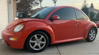 Straight piped TDI BUG