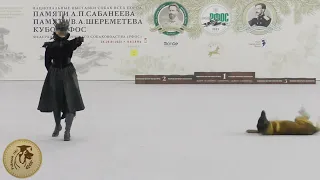 Учёный пёс: танцы с собаками. Ильина Полина и Малинуа Сабур Гранд. “Paint, it Black”