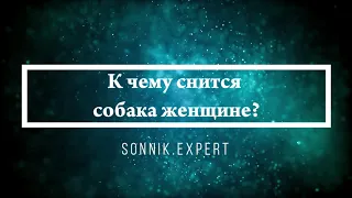 К чему снится собака женщине - Онлайн Сонник Эксперт