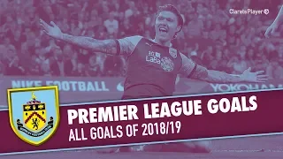 PREMIER LEAGUE | All Goals of 2018/19