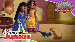 Mira Detective Real: El concurso de baile | Disney Junior Oficial