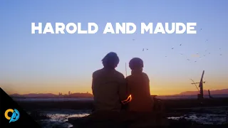 Holocaust Tattoo and the Zoom Shot in Harold and Maude | CinemaSlice