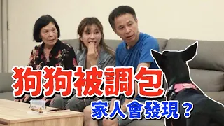 神複製！找同款黑狗狗偷偷調包！家人出乎意料的反應...｜技安