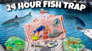 24 HOUR FISH TRAP Catches EXOTIC FISH!
