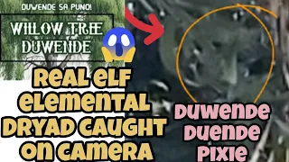 strange creature caught on camera! alien sighting bigfoot? elf? engkanto duende pixie elementals