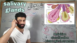 salivary glands 1 _oral histology || عزت شومان