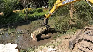 FAIL ON FAIT TOMBER UN TRONC DE 4 TONNES DANS LA RIVIÈRE / DÉMONTAGE D'UN  GROS HÊTRE