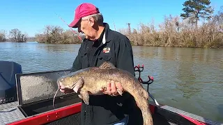 Try this to FIND catfish on a river.