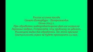 Россия из окна поезда.Санкт-Петербург-Петрозаводск