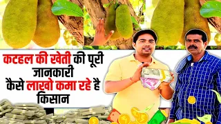 कटहल की खेती की संपूर्ण जानकारी kathal Farming, Cost, Profit | Agri Farming l Kisan Seva