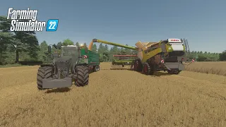 HARVESTING WHEAT WITH CLAAS LEXION IN FARMING SIMULATOR 22-buckland-