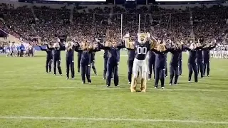 Cosmo the cougar & the cougarettes Dance - BYU - Vs - Boise St2017