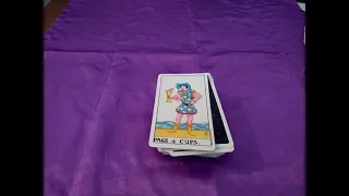 Page of cups Tarot card meaning.