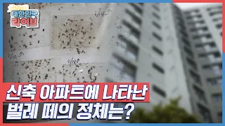 신축 아파트에 나타난 벌레 떼의 정체는? KBS 210827 방송