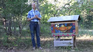 Propagating Wild Bees with Leo Sharashkin