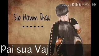 Sib Hawm Dhau | (Cover by) Paj sua Vaj - Leej jj