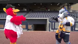 Nashville Sounds Booster Meets Nashville Predators Gnash