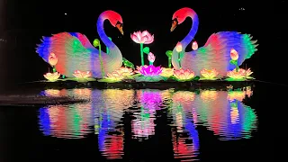 Grand Rapids Lantern festival …//2024 …John ball zoo light show 🏮🎋