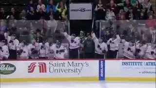 MN High School Hockey Tournament Tribute