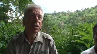 Au delà des voyages - Dominica, île nature (documentaire)