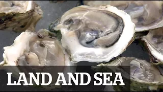 Land & Sea: Oysters