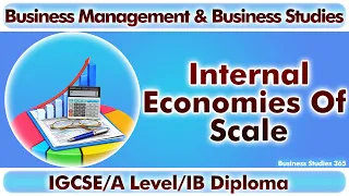 What are different types of Internal Economies Scale?  IB | A Level & IGCSE Business Studies|