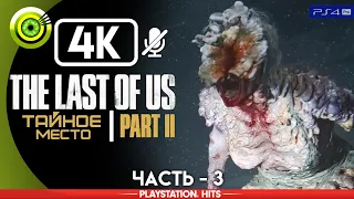 The Last of Us 2 | Прохождение | [4K] PS4Pro — #3 [Тайное место] | #BLACKRINSLER