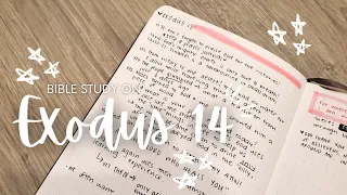 Bible Study on Exodus 14 | Study the Whole Bible with Me