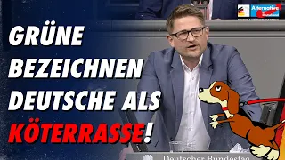 Grüne bezeichnen Deutsche als Köterrasse! - Rene Springer - AfD-Fraktion im Bundestag