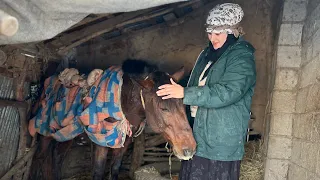 Snowy Village Life:Baking Iranian pastries with Rice and Caring for Animals