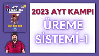 Üreme Sistemi-1 AYT Biyoloji Kampı Konu Anlatımı/ 11.Sınıf 2024 Tayfa