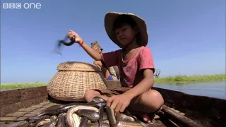 Snake Bracelets   Human Planet, Grasslands, Preview   BBC One
