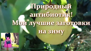 Вы не знаете, куда девать груши? Груша как природный антибиотик: заготовка на зиму - просто и вкусно