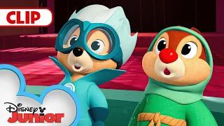 Chip 'n Dale Turn Von Drake Invisible! | Mickey Mouse Funhouse |@disneyjunior​