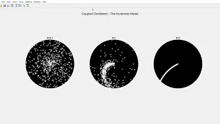 Coupled Oscillators: The Kuramoto Model