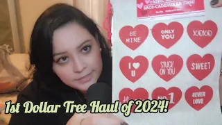 Dollar Tree Haul 🌳 #8 random + valentines day finds! | asmr soft-spoken & some tapping