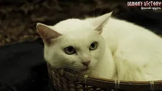 Самурай и кошка (полнометражный).