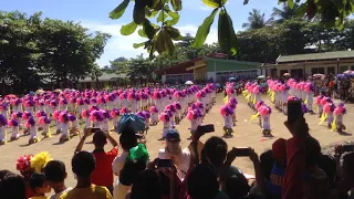 Grade IV Field Demo Presentation '18 - Macabalan Elementary School, CDO