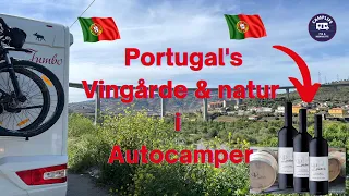 Portugals Vingårde og natur i Autocamper | Besøg på vingård i Dourodalen