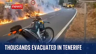 Canary Islands blaze: Thousands evacuated as wildfire hits Tenerife