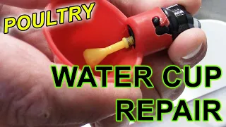 COTURNIX QUAIL WATER CUP FIX - How to clean and repair leaking poultry watering cups