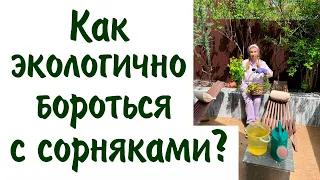 Как экологично бороться с сорняками?