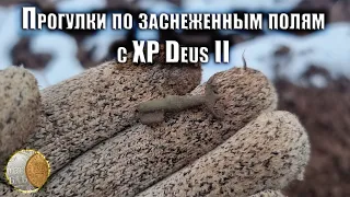 16.11 / Прогулки по заснеженным полям / коп с XP Deus 2