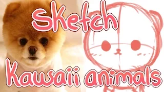 How to sketch kawaii animals