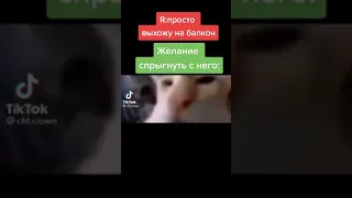 Мемы по ТикТоку #131