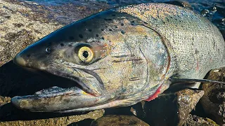 Early Spring Chinook Fishing at Drano Lake