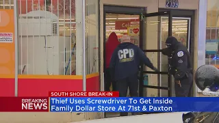 Thieves use screwdriver to break into Family Dollar in South Shore; 1 person in custody