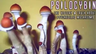 PSILOCYBIN | The History & Truth of Psychedelic Mushrooms