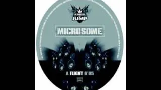 Microsome - Flight [Album: Flight #01] 2007