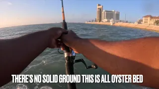 TARGETING MANGROVE SNAPPER IN DOWNTOWN CORPUS CHRISTI TX. AUG. 2023